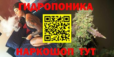 индика Пушкино