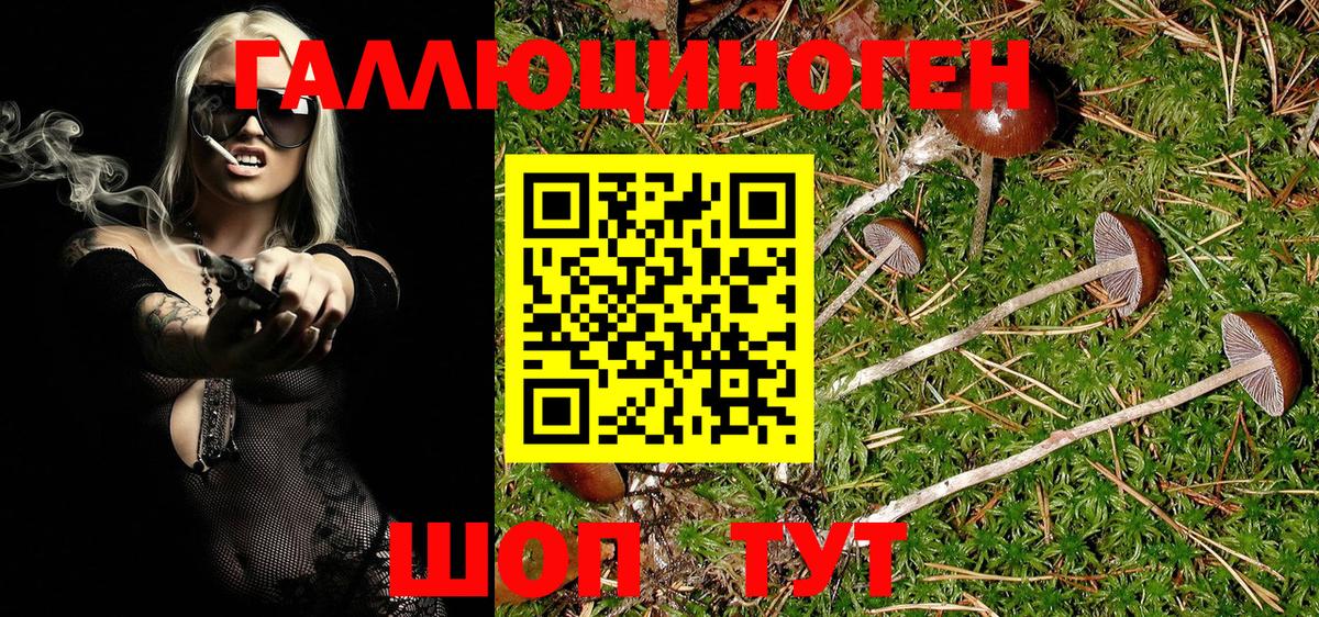 Галлюциногенные грибы Psilocybe  Вход с VPN  Урюпинск 